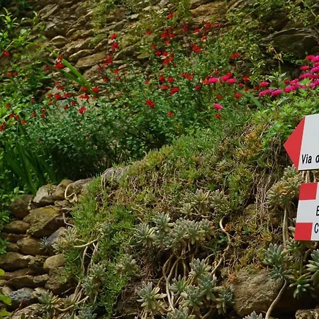 Nocleg ze śniadaniem La Libellula Rossa 3*