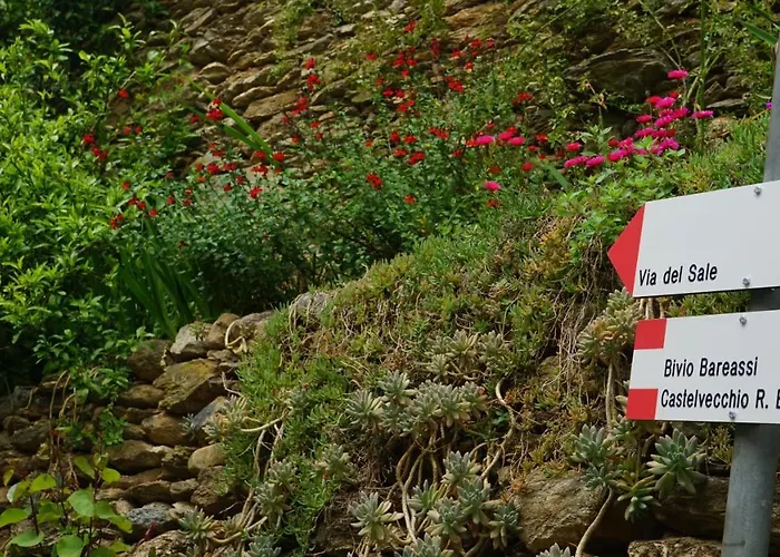 Bed and breakfast La Libellula Rossa 3*